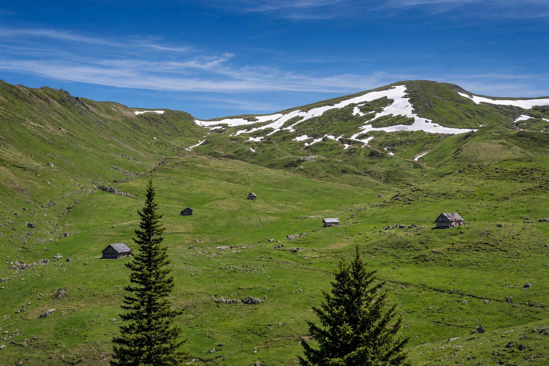 Almwiesen und Bergrücken in Vorarlberg